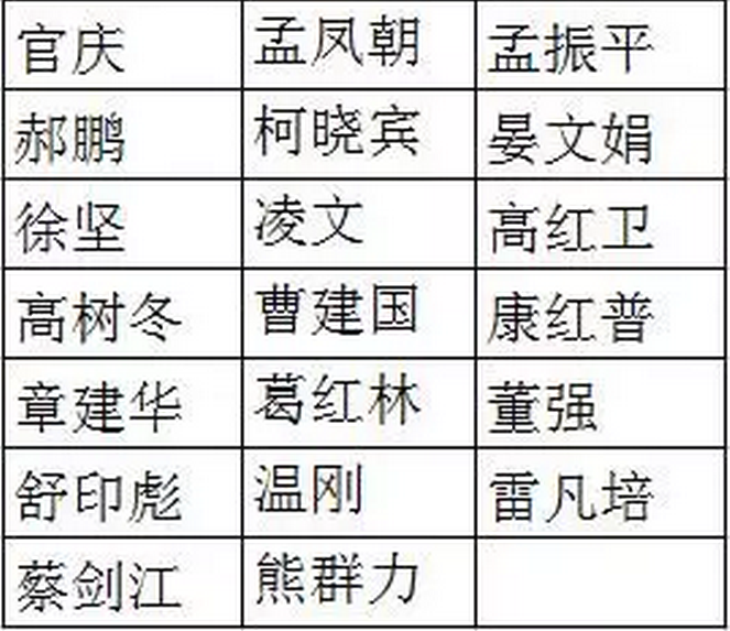 國網、國電投、大唐、神華、三峽等8家能源企業(yè)，總計29家央企大佬入選十九大代表