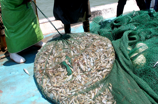 祝賀錦浪科技第四屆《藍天實驗者》光伏高能會圓滿落幕