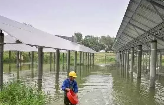 光伏農業(yè)——最新經(jīng)濟熱點，遍地機遇你抓住了嗎？